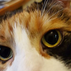 Meet your Posher, Jan